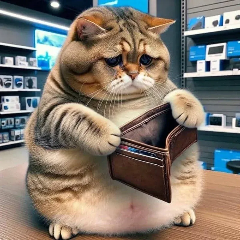 100+ ảnh meme hết tiền hài hước