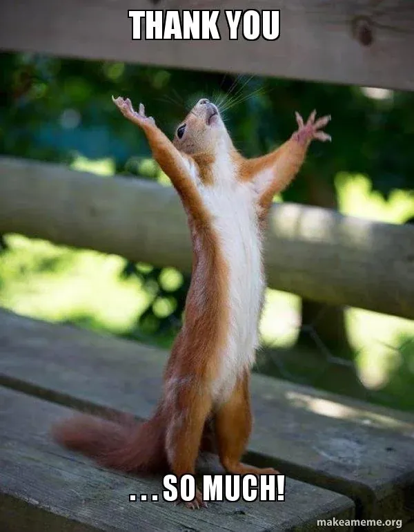99+ meme thank you độc đáo nhất giúp lời cảm ơn thêm ấn tượng · ảnh 1